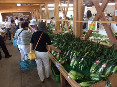 ⑤新鮮な朝獲れ野菜.JPG