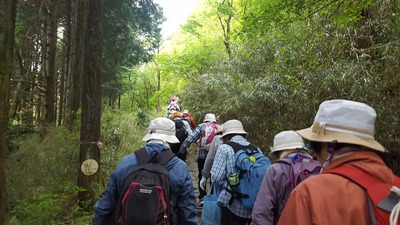 板橋歩こう会箱根⑬.jpg