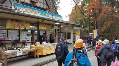 板橋歩こう会さる園.jpg