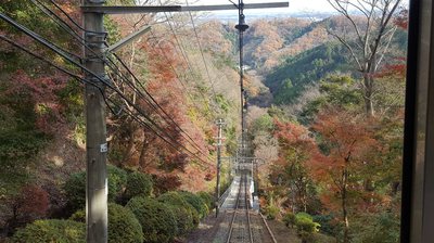 板橋歩こう会紅葉.jpgのサムネール画像