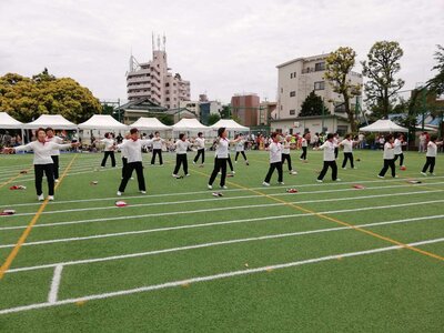 東山フェスティバル花1.jpg